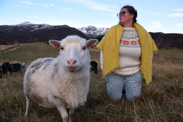 Foredrag med Ragnhild Lie fra Lofoten wool lørdag 5.7.2025 i Jutulheimen